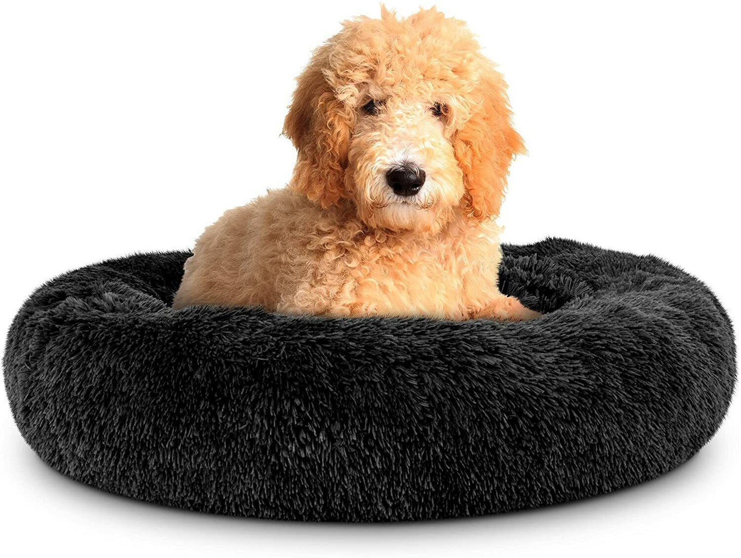 Pet Soft Bed